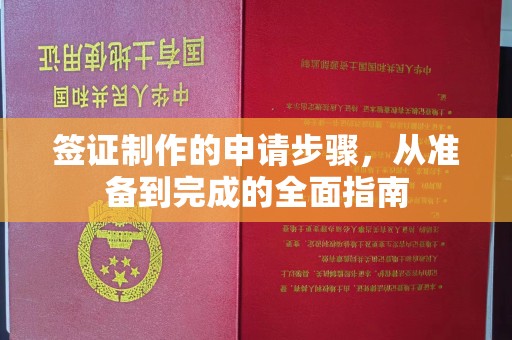 桃园签证制作的申请步骤，从准备到完成的全面指南