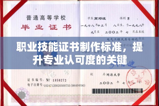 桃园职业技能证书制作标准，提升专业认可度的关键