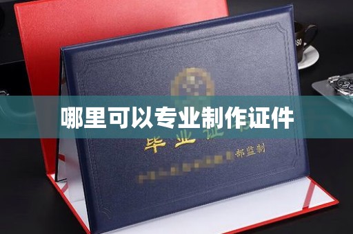 桃园哪里可以专业制作证件