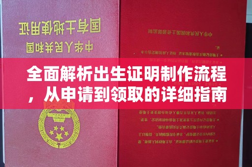 桃园全面解析出生证明制作流程，从申请到领取的详细指南