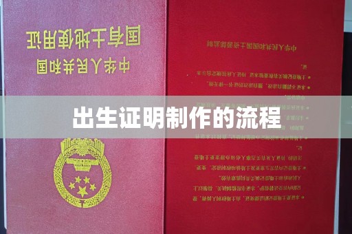 桃园出生证明制作的流程