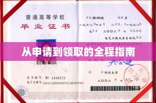 桃园从申请到领取的全程指南