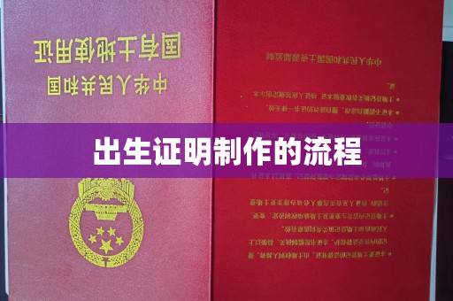 桃园出生证明制作的流程