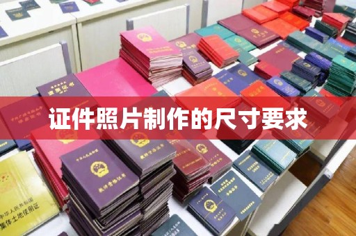 桃园证件照片制作的尺寸要求