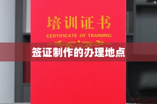 桃园签证制作的办理地点