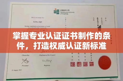 桃园掌握专业认证证书制作的条件，打造权威认证新标准