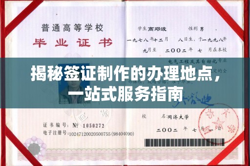 桃园揭秘签证制作的办理地点，一站式服务指南