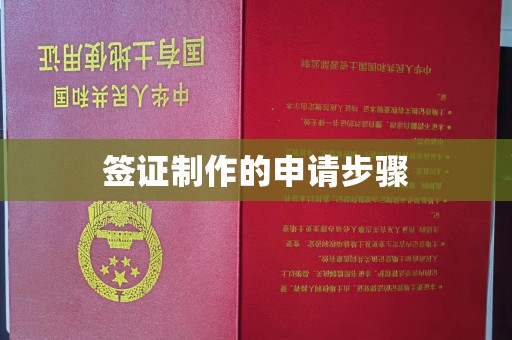 桃园签证制作的申请步骤