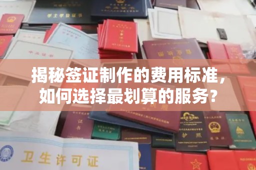 桃园揭秘签证制作的费用标准，如何选择最划算的服务？