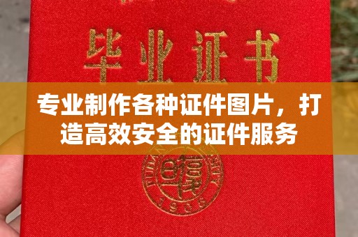 桃园专业制作各种证件图片，打造高效安全的证件服务