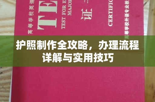 桃园护照制作全攻略，办理流程详解与实用技巧