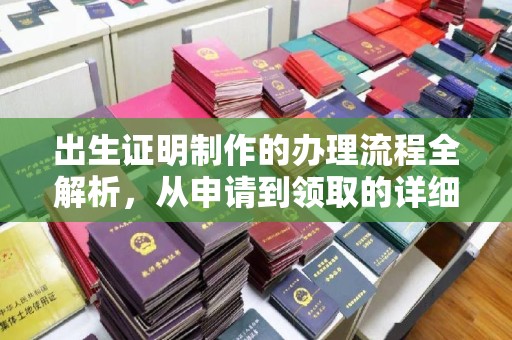 桃园出生证明制作的办理流程全解析，从申请到领取的详细指南