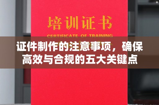桃园证件制作的注意事项，确保高效与合规的五大关键点