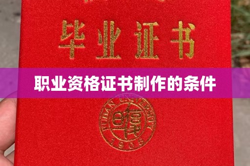 桃园职业资格证书制作的条件
