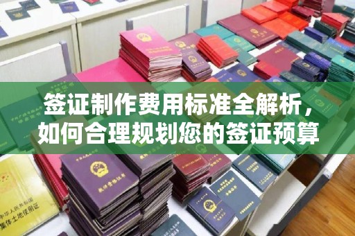 桃园签证制作费用标准全解析，如何合理规划您的签证预算？